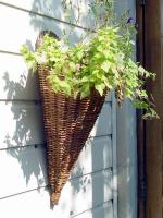 baskets004.jpg 8.6K