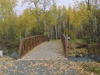 bridges007.jpg 9.2K