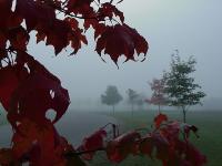 fall-colors007.jpg 6.2K