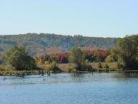 fall-colors009.jpg 5.2K