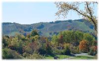 fall-colors011.jpg 6.5K