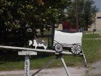 mailboxes009.jpg 8.0K