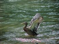 motion016.jpg 9.5K