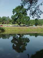 reflection001.jpg 8.0K