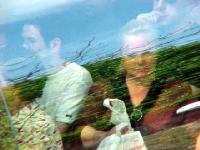 reflection018.jpg 7.7K