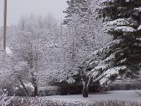 spring006.jpg 9.9K