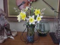 spring008.jpg 7.2K