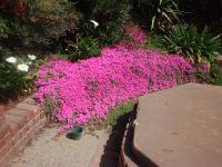 spring020.jpg 8.2K