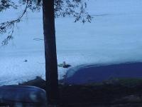 spring021.jpg 4.8K