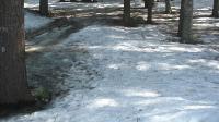 spring024.jpg 5.6K