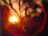 sunset001.jpg 5.9K