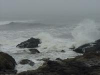 water016.jpg 4.6K