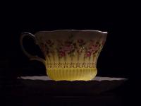 yellow013.jpg 3.1K
